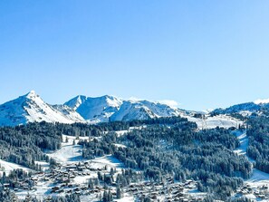 Miscellaneous - Charming Studio near Chavannes - Wi-Fi, Parking, Ski Locker, 2 Guests (Les Gets)