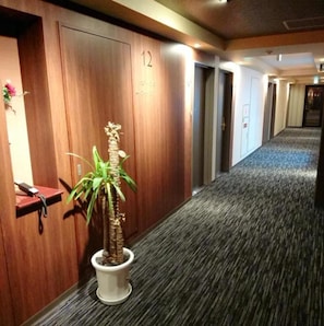 A hallway with a wooden door labeled '12', a small potted plant, and a telephone on a desk.