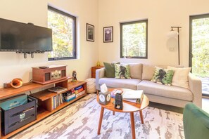 Smart TV, chimenea, reproductor de DVD y libros 