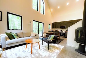 Smart TV, fireplace, DVD player, books