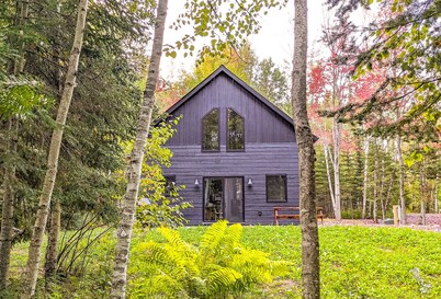 Hodag House | Magical Cabin & Creature Comforts