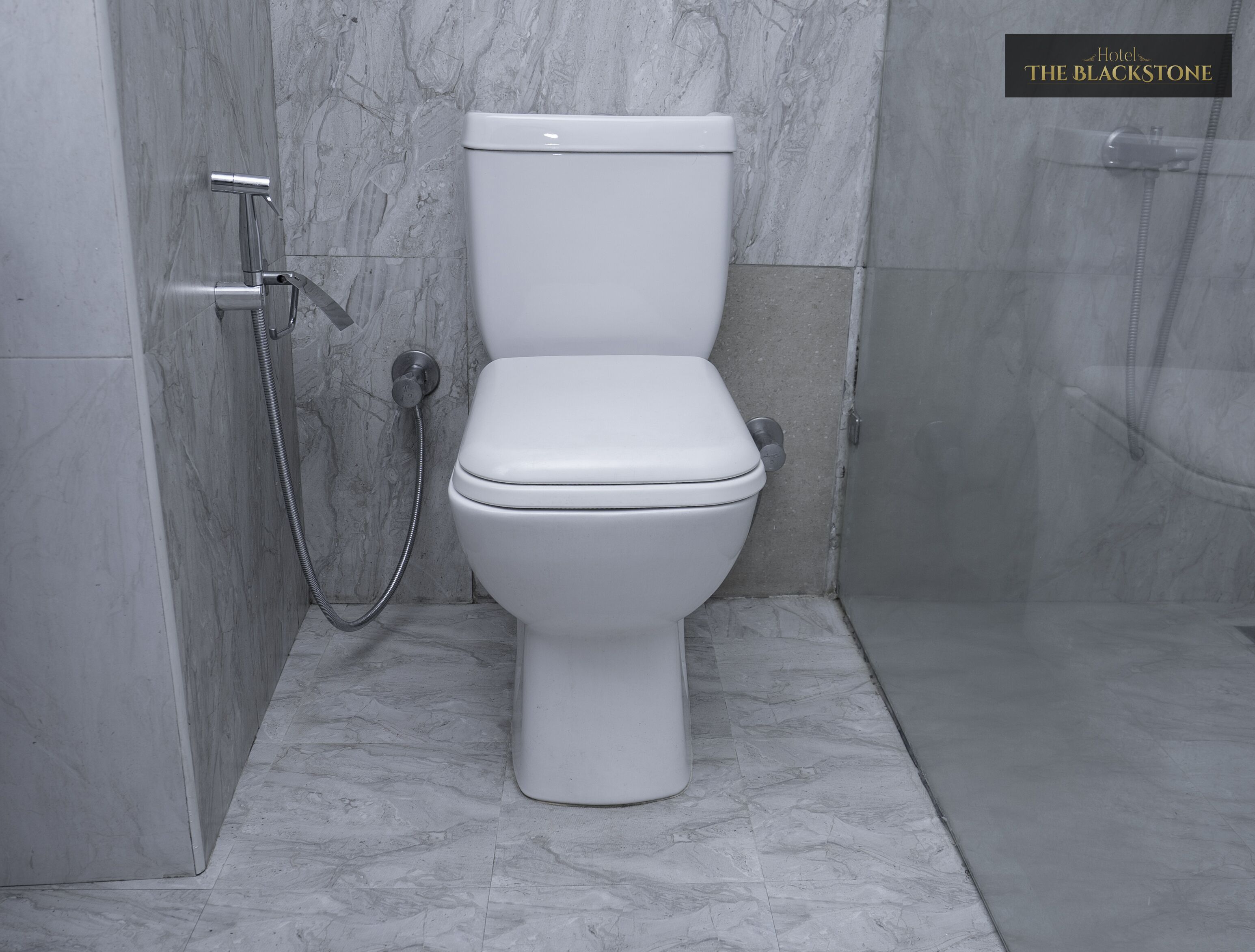 A modern bathroom with a white toilet, a shower, and a marble floor.