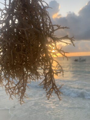 Ubicación cercana a la playa, arena blanca y 10 bares en la playa