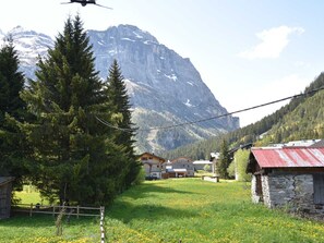 Property grounds - Semi-detached Chalet with Garden, 2 Bedrooms, Pets Allowed (Pralognan-la-Vanoise)