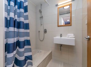 Apartament | Bany | Combinació de dutxa i banyera i capçal de dutxa d'hidromassatge 
