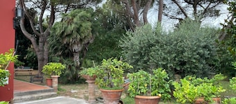Cozy apartment nestled in the green countryside between Pisa and Lucca.