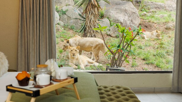 Superior Room | Bathroom | Combined shower/bathtub, rainfall showerhead, towels, soap - Pumbaa Wildlife Park and Accommodation (Mbombela)