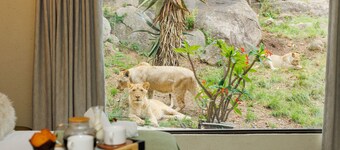 Pumbaa Wildlife Park and Accommodation