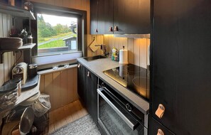 Kühlschrank, Ofen, Herdplatte, Geschirrspüler