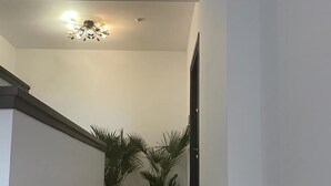 Un escalier avec des marches en bois menant à un palier, bordé de murs blancs et agrémenté de deux plantes en pot.