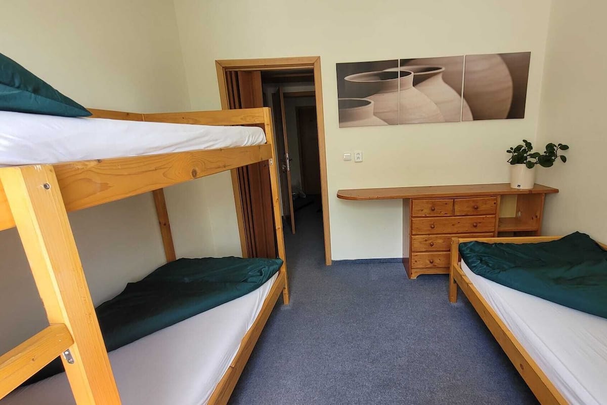 A dormitory room with bunk beds, a dresser, a plant, and a wall-mounted picture.