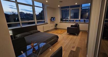 Bright and spacious studio in the Heart of Tottenham.