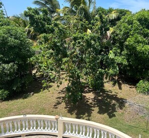 House | Property grounds