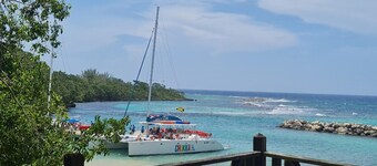 Tropical Paradise Retreat in St Ann's