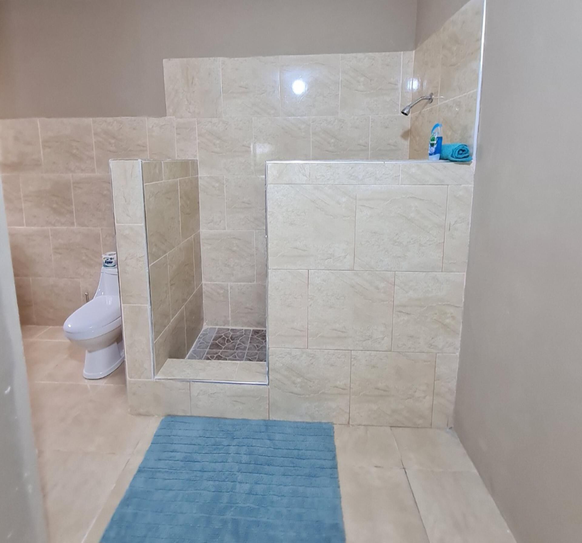 A bathroom with a shower, toilet, and a blue rug.