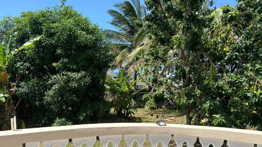 Tropical Paradise Retreat in St Ann's