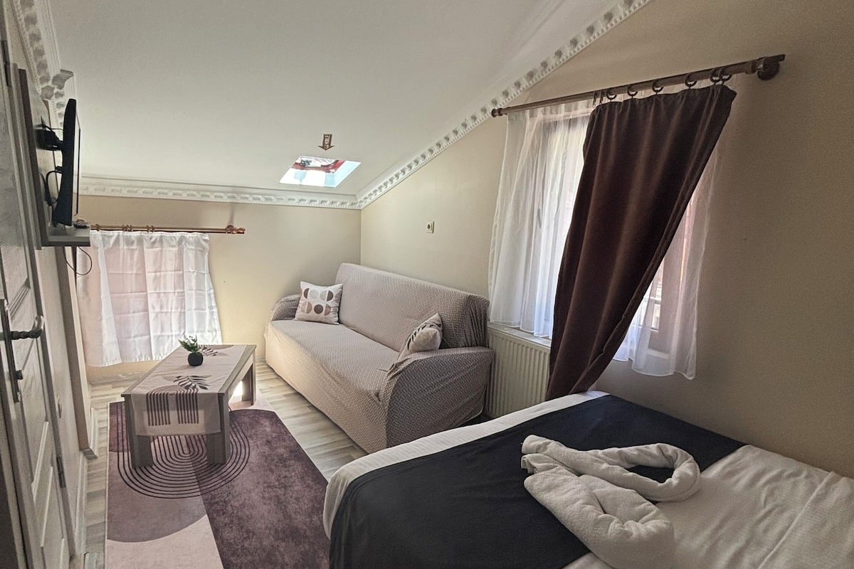 Standard Room, Mountain View | 1 bedroom, premium bedding, desk, rollaway beds