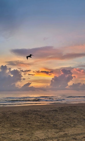 Una playa cerca