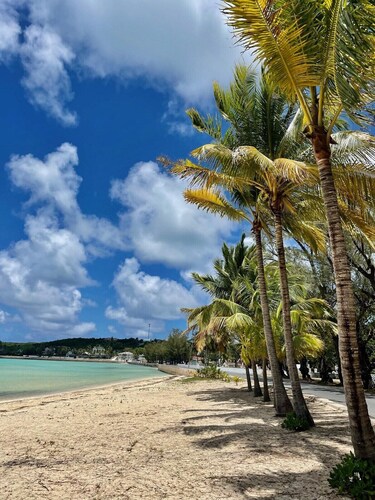 Newly Remodeled Beach House on the Calm Caribbean, Walk to Town Restaurants