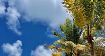 Newly Remodeled Beach House on the Calm Caribbean, Walk to Town Restaurants