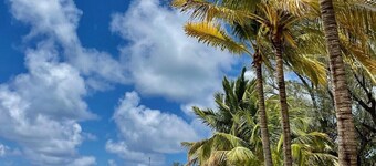 Newly Remodeled Beach House on the Calm Caribbean, Walk to Town Restaurants