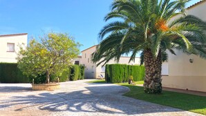 A paved courtyard with a palm tree, a small tree, and a hedge. - Villa with shared Pool/Aircon/Wi-Fi - Villa Mimosa (L'Escala)