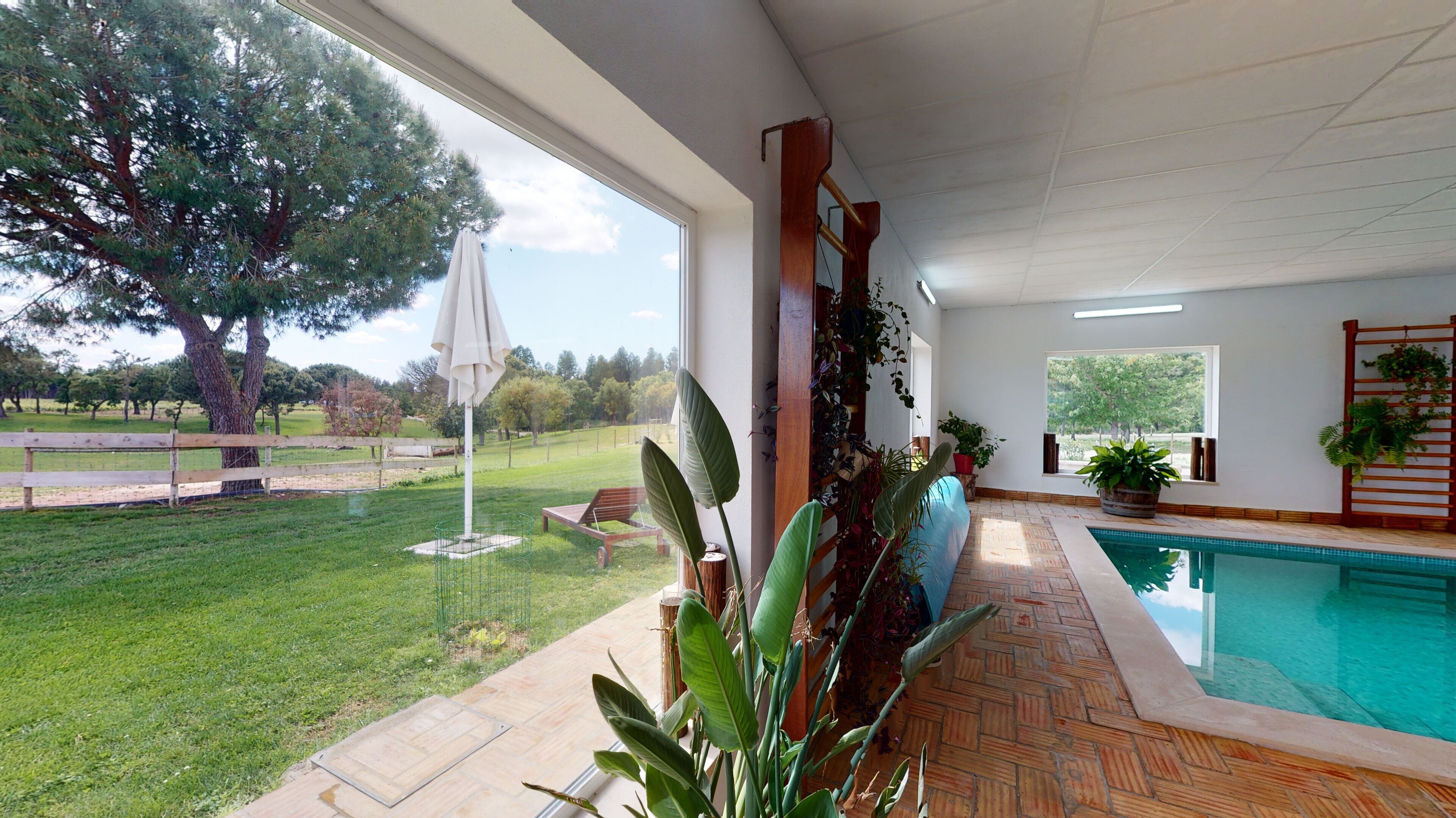 Zona de piscina interior con vistas a un área exterior con césped y árboles.