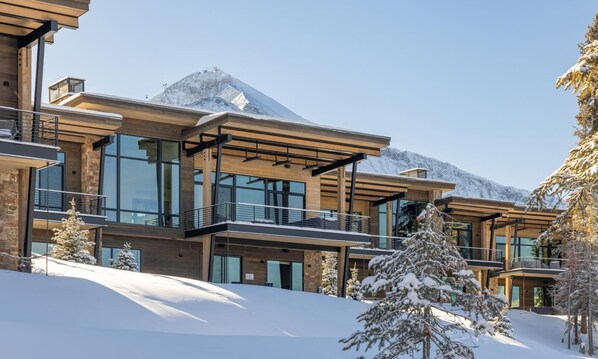 Un edificio moderno de varios pisos con amplias ventanas y balcones, rodeado de árboles cubiertos de nieve y una montaña al fondo.