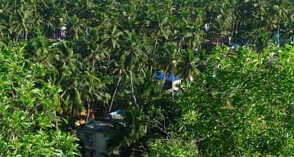 Luxury guest house in poovar backwaters islands.