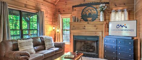 TV, fireplace, books