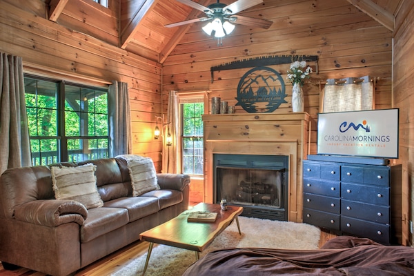 TV, fireplace, books