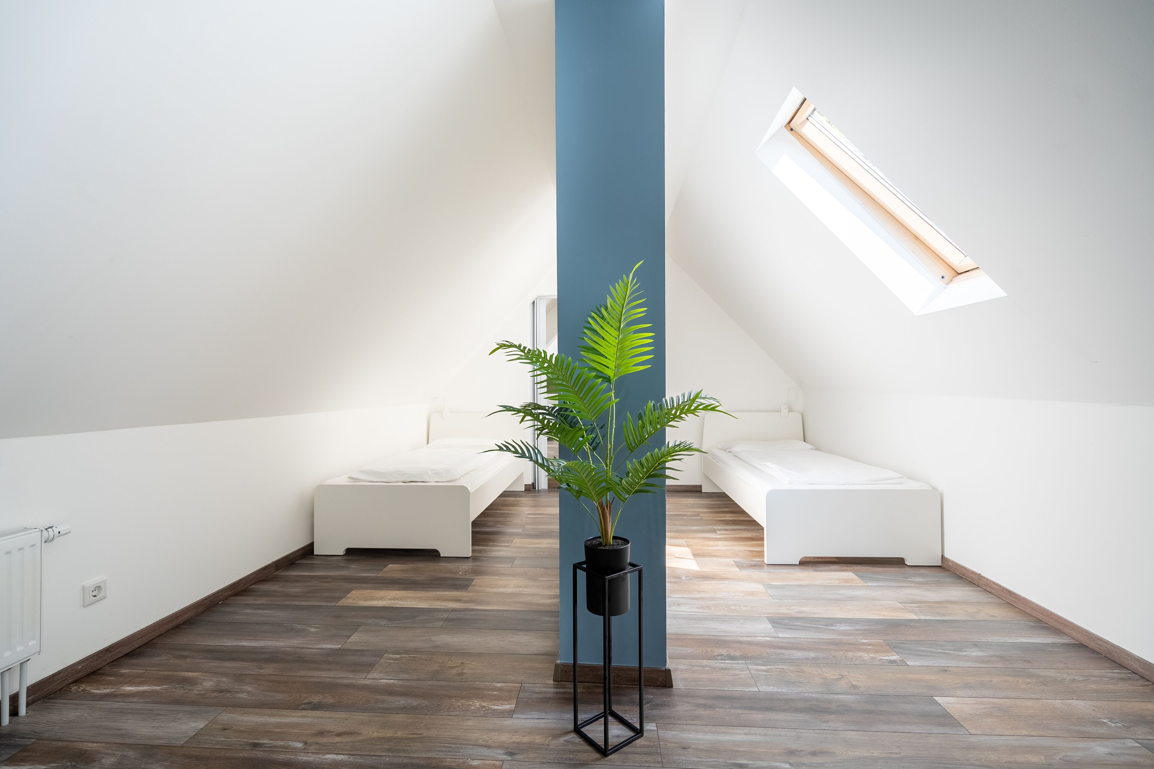 A modern, minimalist room with a sloped ceiling, a potted plant, and a white sofa.
