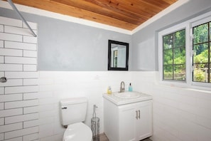 House, 3 Bedrooms | Bathroom