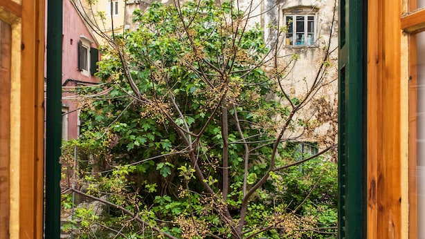 A window with a view of a tree and a building. - Isidora's House by Corfuescapes (Corfu)