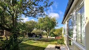 A garden with a lawn, a tree, and a house with large windows.