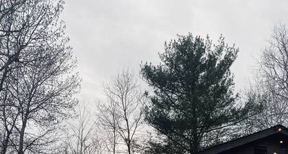 “Tiny Timber” Scandi cabin W/ Sauna, plunge tub!