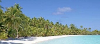 Welcome to Nano’s Home 