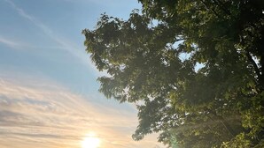 A lakeside view with trees, a pathway, and a sunset. - Portage Lakeside Cabins (Portage Lake)