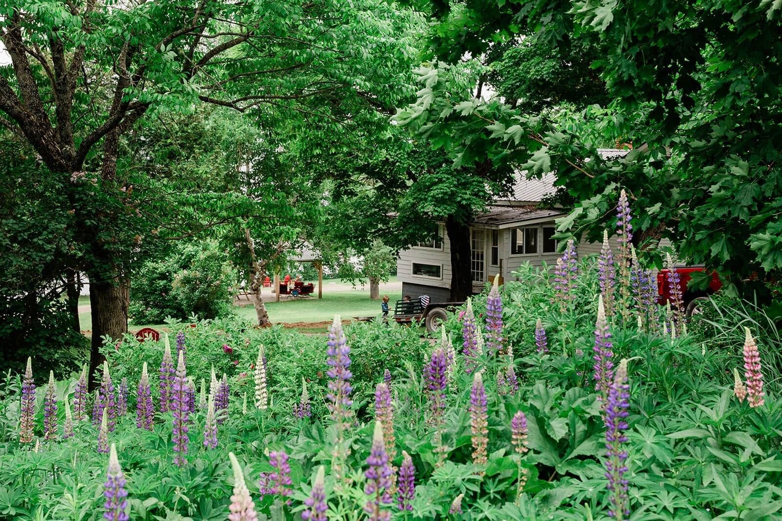 Jardines del alojamiento