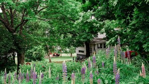 A garden with purple flowers, a house, and a picnic area. - Portage Lakeside Cabins (Portage Lake)