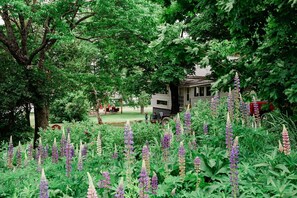 Jardines del alojamiento