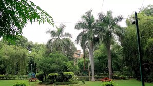 Un exuberante jardín con palmeras, un banco rojo y un pabellón.