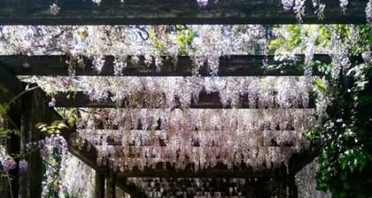 THE PEACEFUL HOUSE CLOUSE TO MILAN