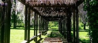 THE PEACEFUL HOUSE CLOUSE TO MILAN