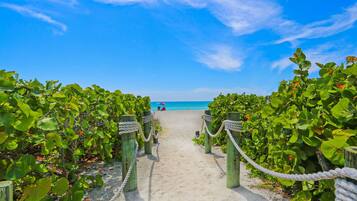 Sun-loungers, beach towels