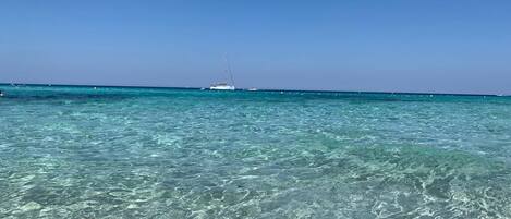 海灘