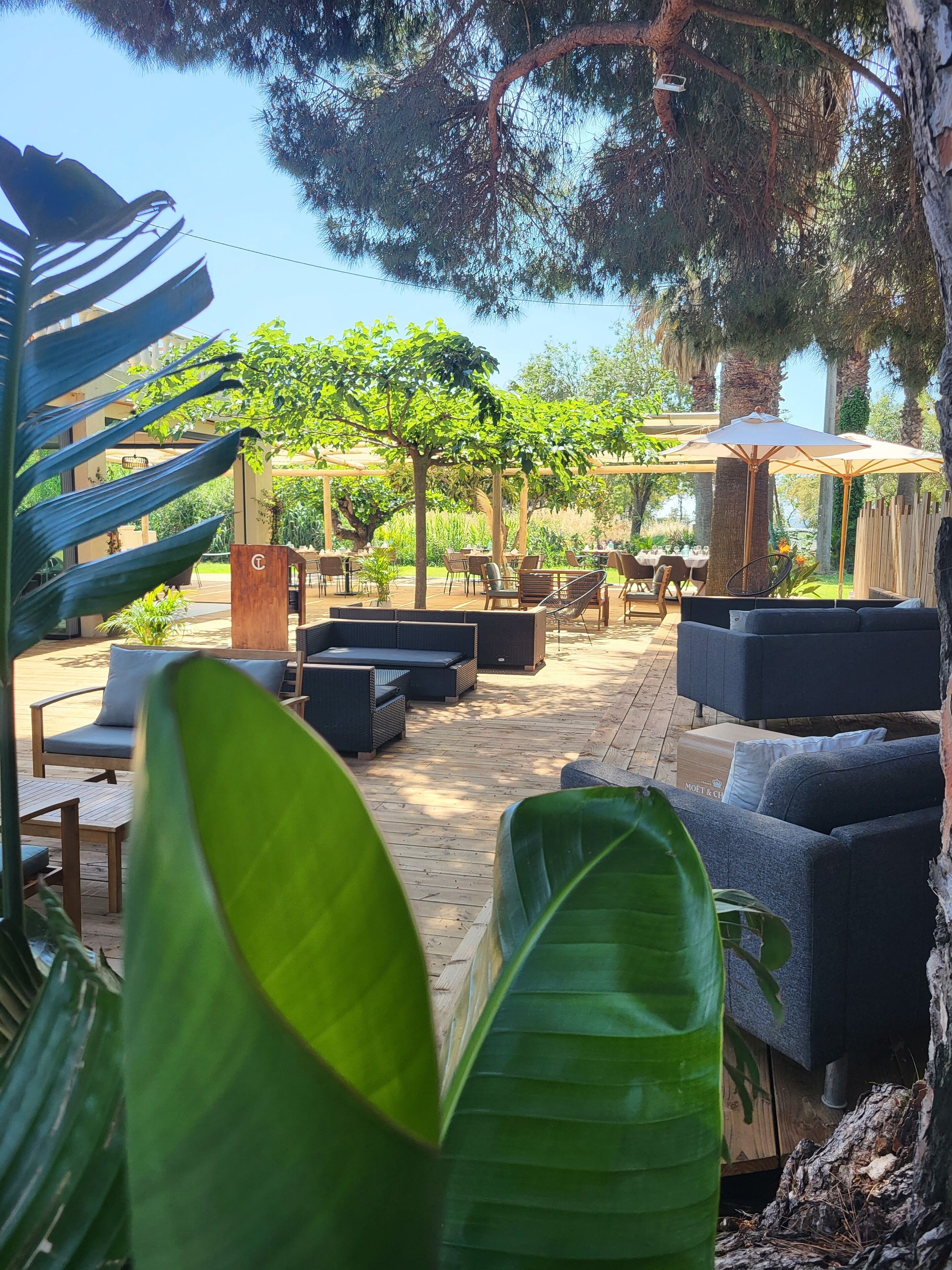 Un patio al aire libre con arreglos de asientos, incluyendo sofás y sillones, rodeado de follaje y árboles.