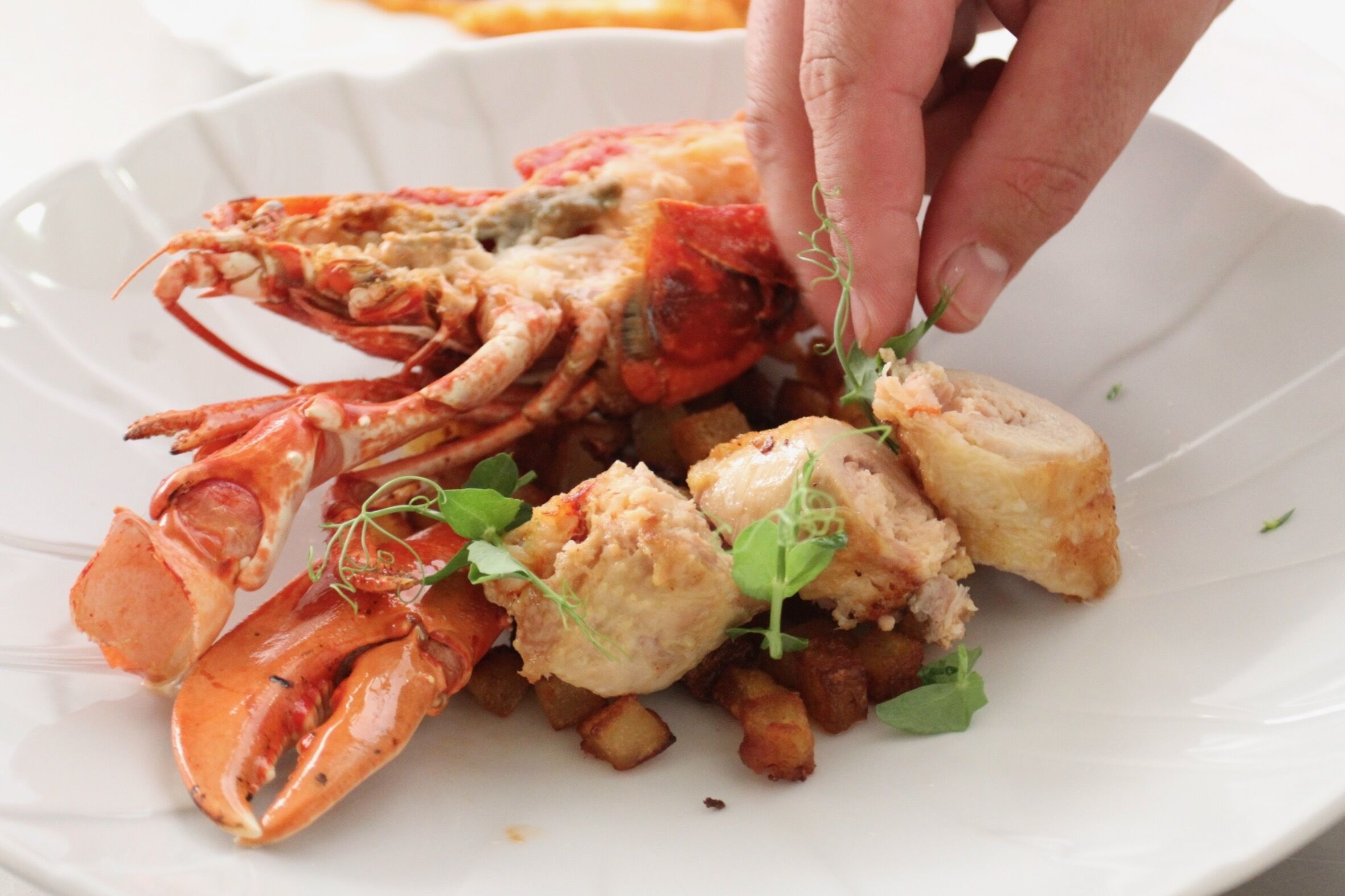 Un plato de langosta con una mano levantando un trozo.