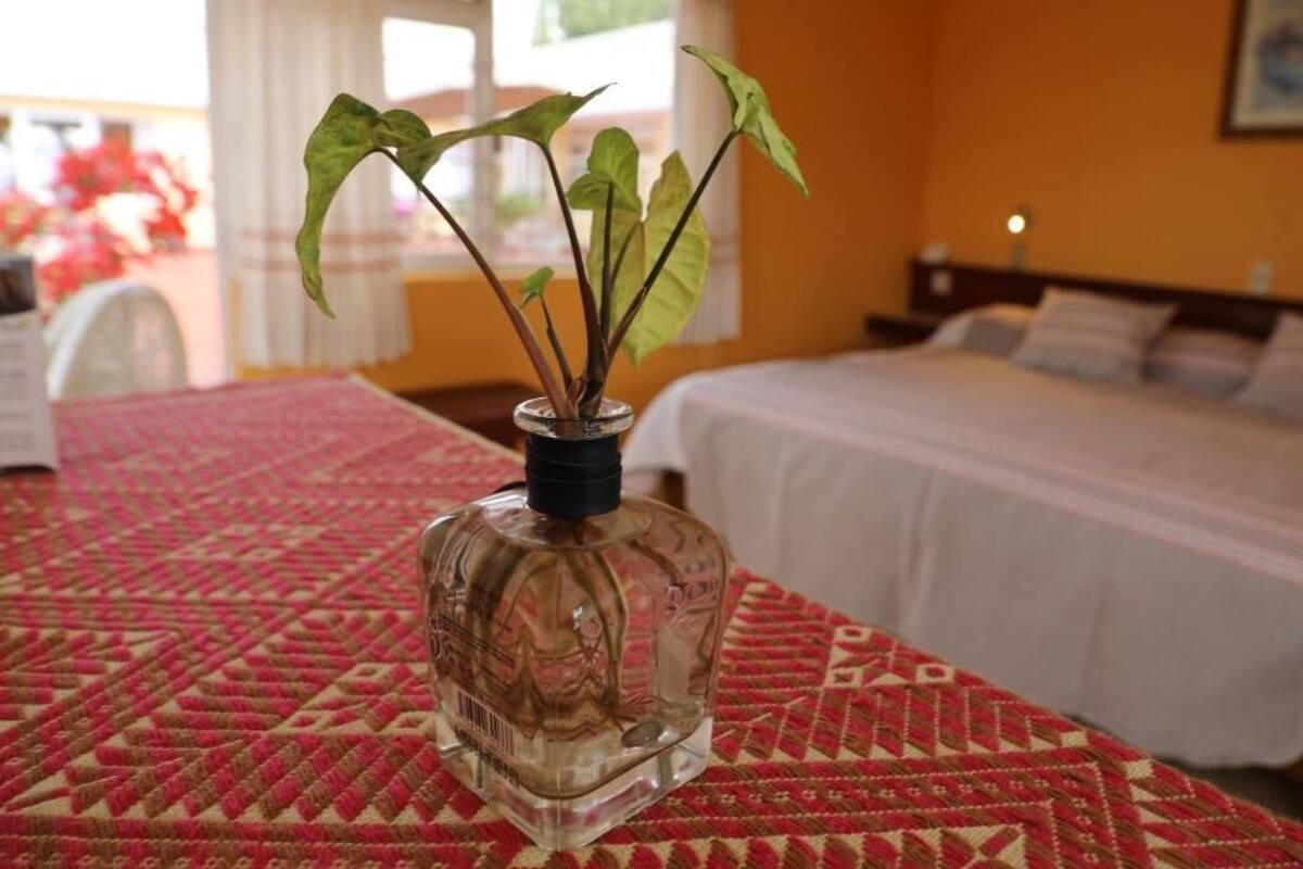 Una habitación con cama, mesita de noche y un florero con planta.