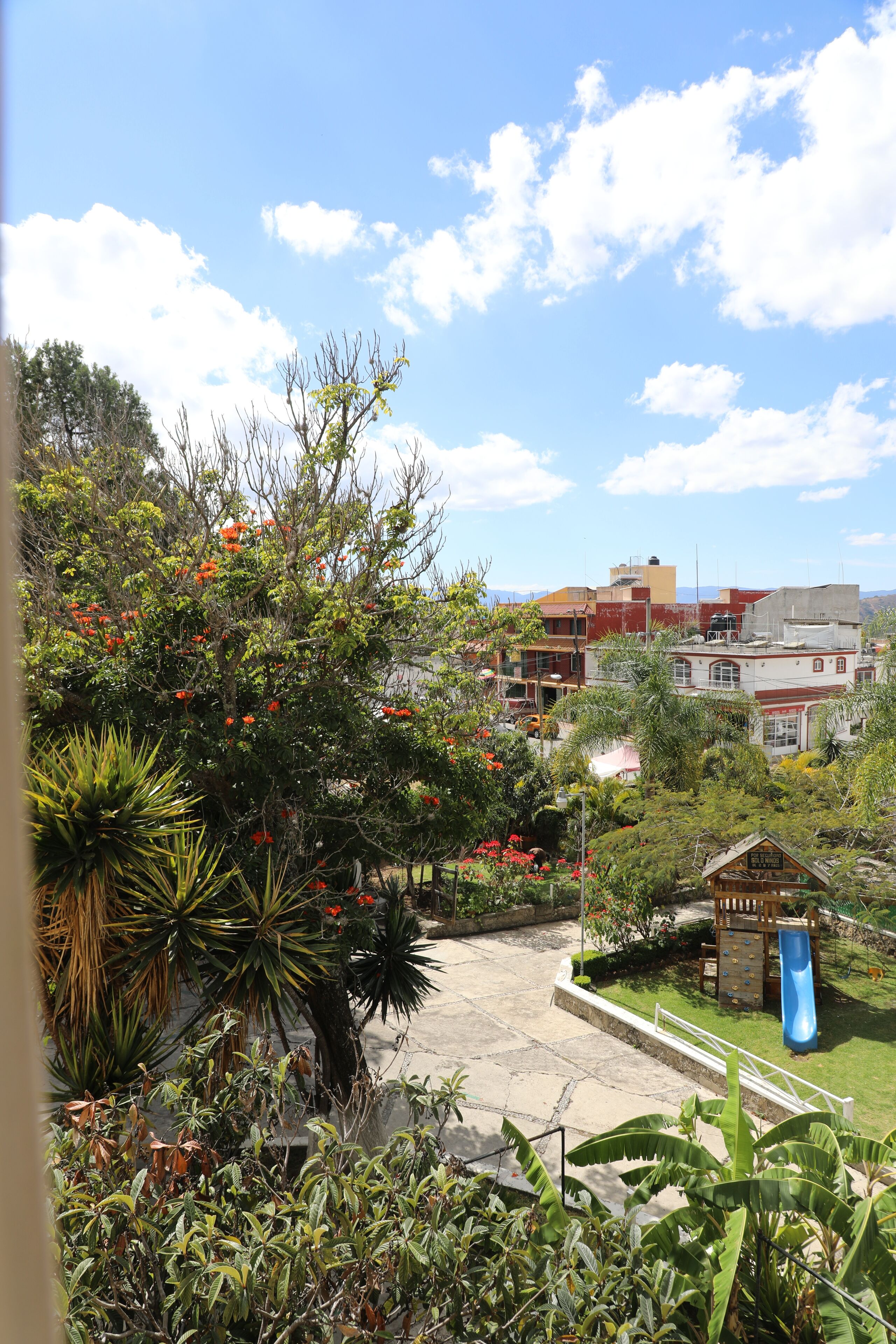 Un jardín con un parque infantil, que incluye un tobogán, rodeado de diversas plantas y árboles.